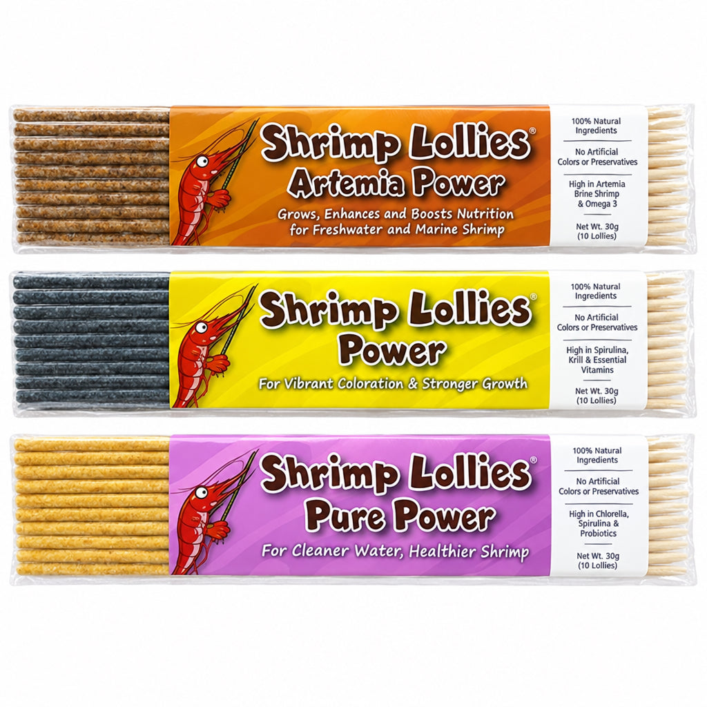 Shrimp-Lollies Power-Set – Artemia, PurePower – 30 Stück