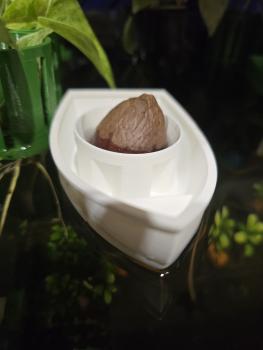 Avocado-Schiff (braun)