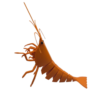 FlexiShrimp (Orange Sakura)