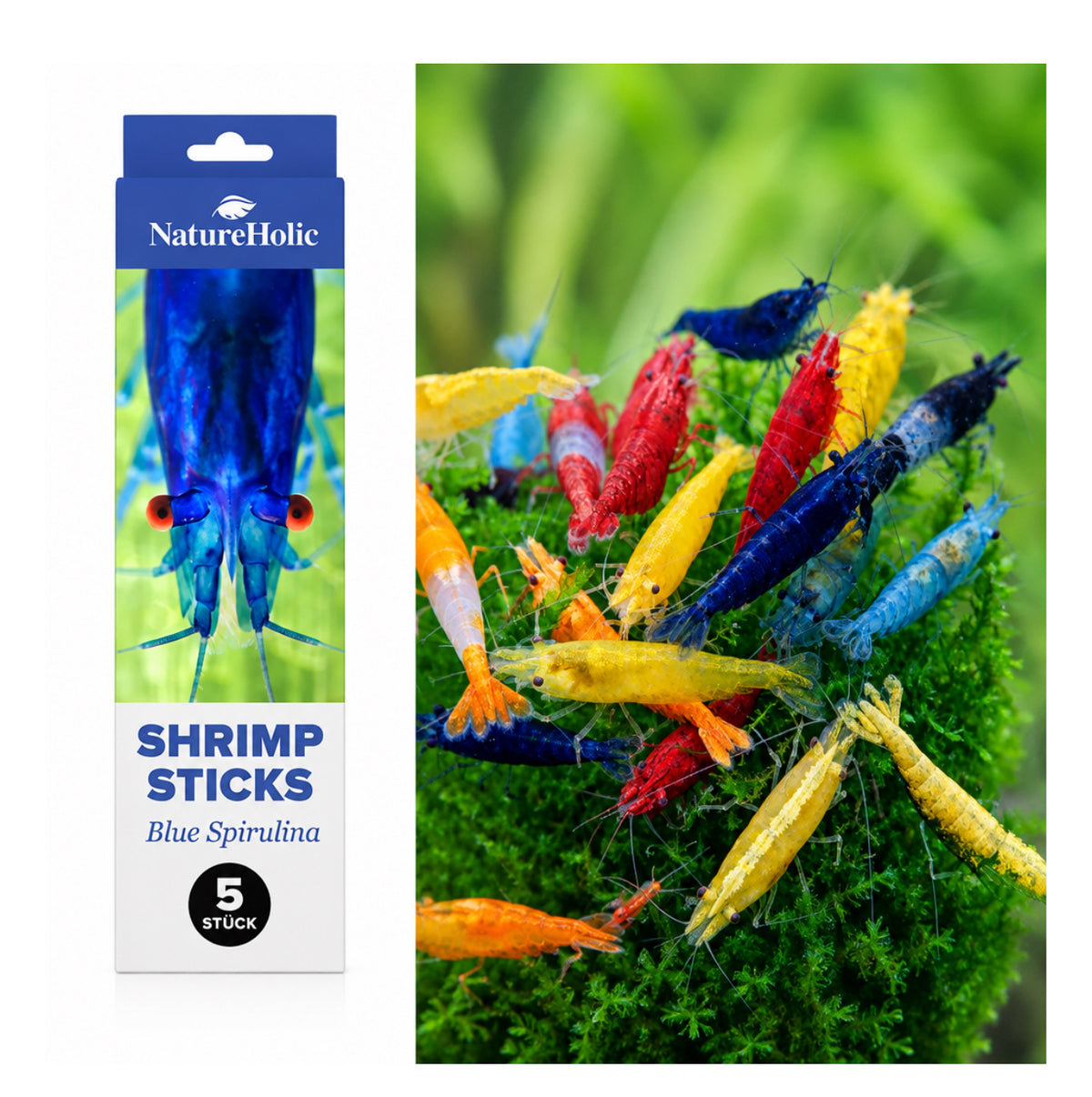 10 Garnelen MIX Neocaridina + Garnelen Lollies „Blue Spirulina“ - 5 Lollis