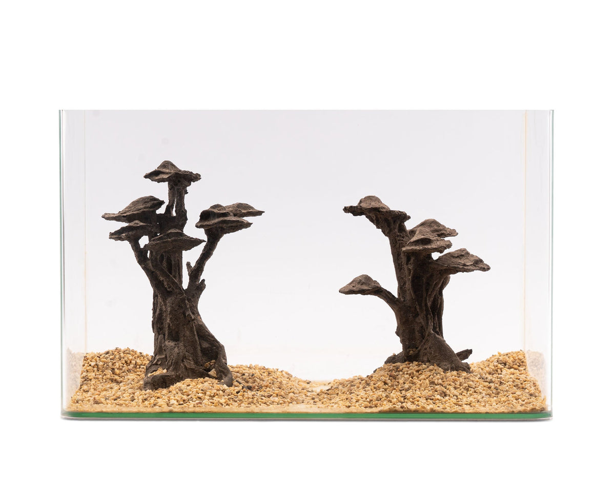 NatureHolic - Stone Bonsai - Shizukana