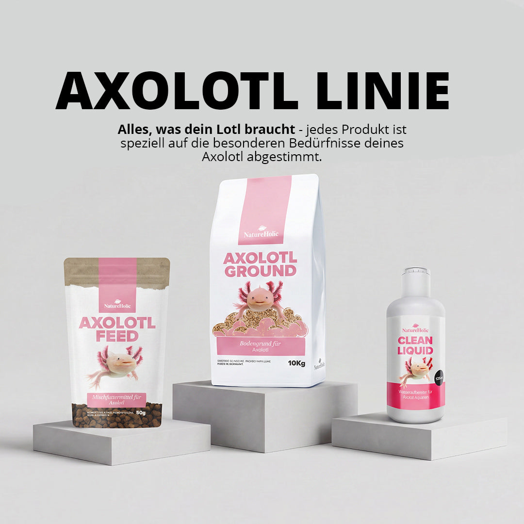 NatureHolic Axolotl Pudding – Formbare Futterpaste für Axolotl