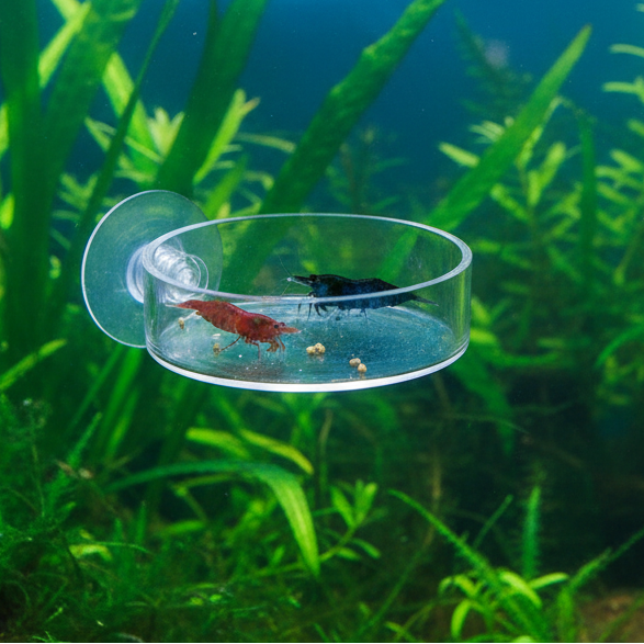 Futternapf fĂŒrs Aquarium