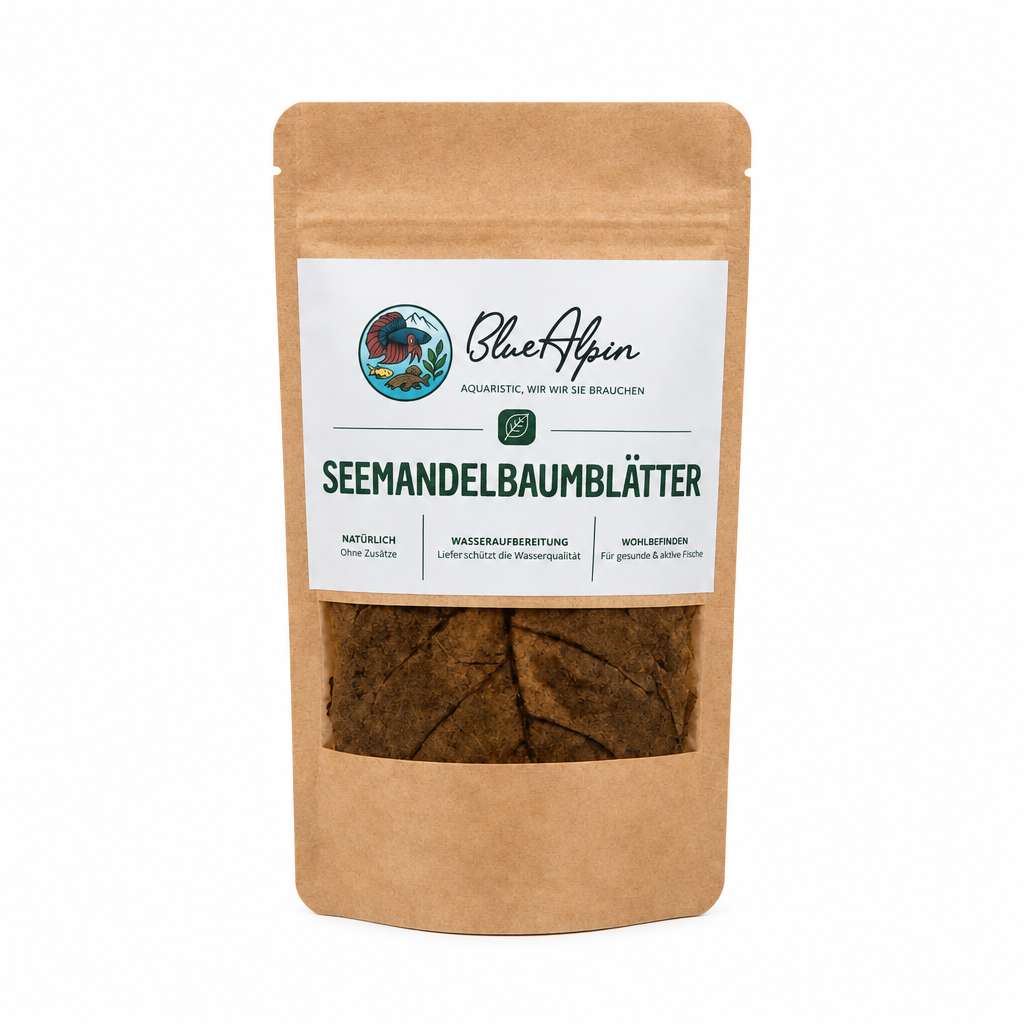 Seemandelbaumblätter – 10 Stück