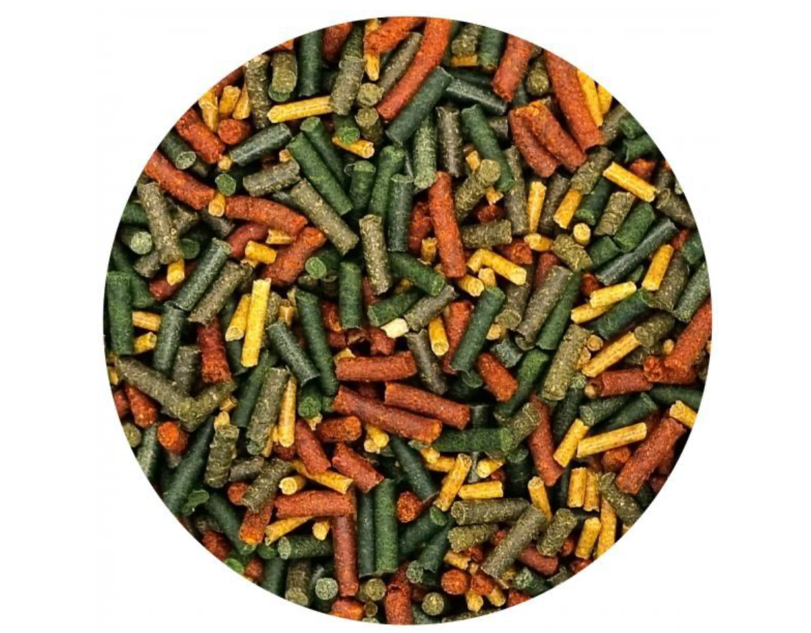 Futter-Sticks Mix (50g)