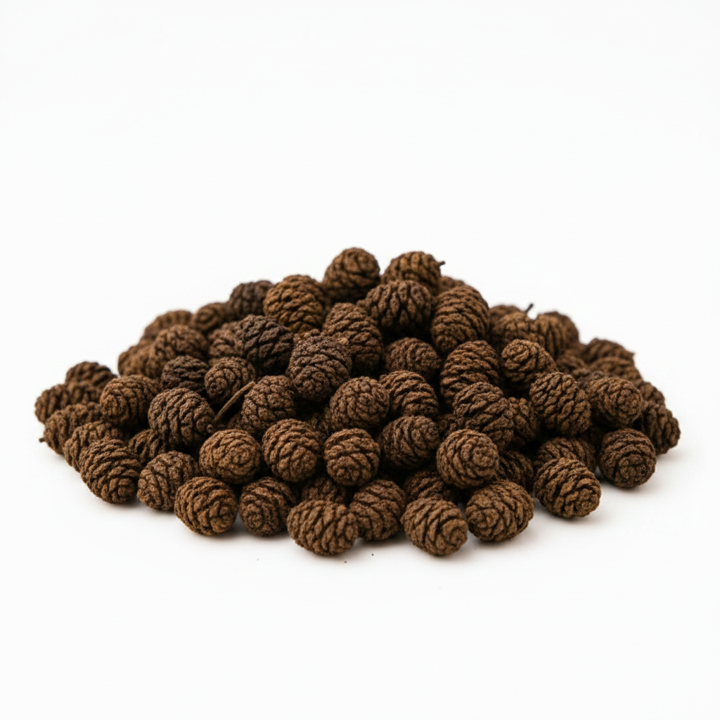 Alder cones (10 g) â Natural product for aquarium