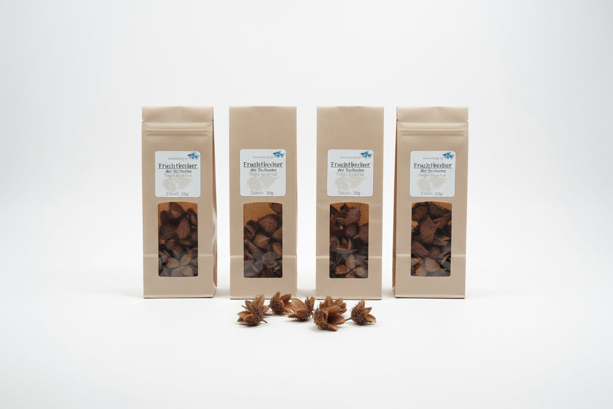 Fruchtbecher der Rotbuche – Naturfutter für Garnelen, Krebse, Schnecken und Welse