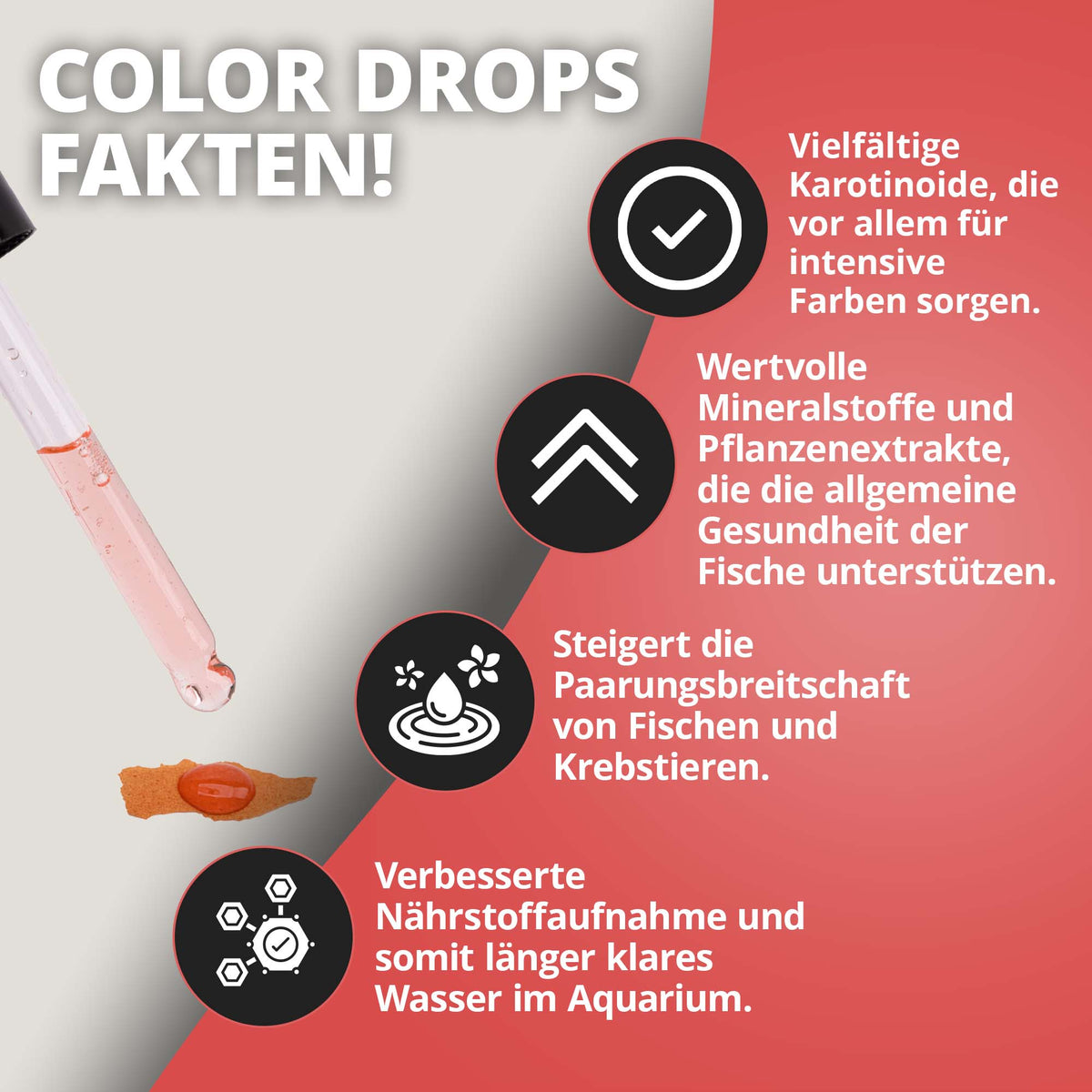 NatureHolic Color Drops - 30ml Fischfutter Zusatz für intensive Farben