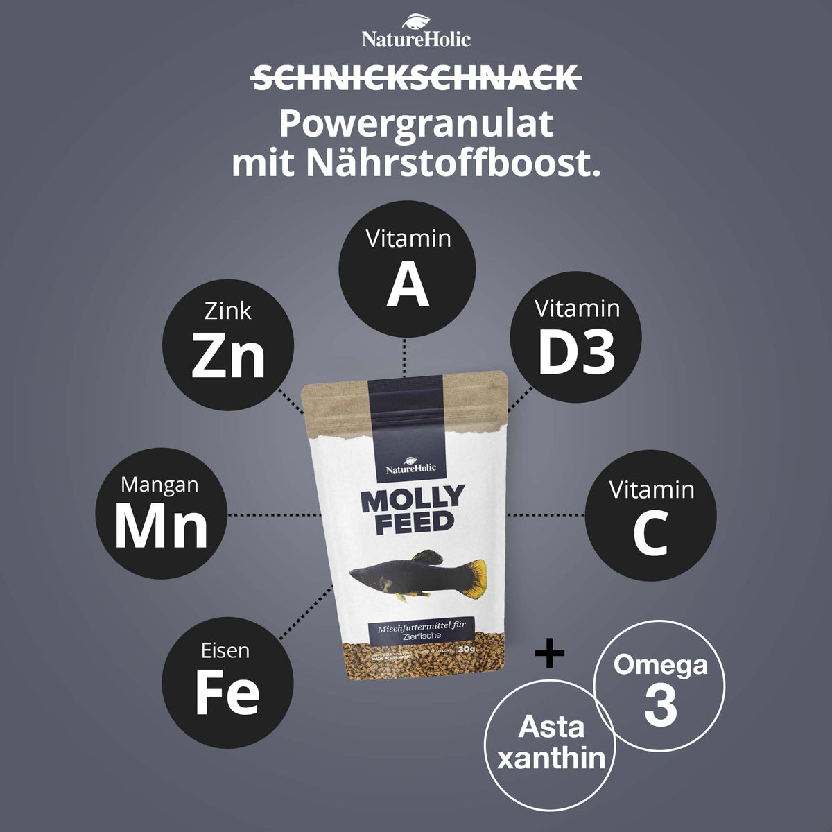 NatureHolic MollyFeed - Molly Futter - Fischfutter 30g