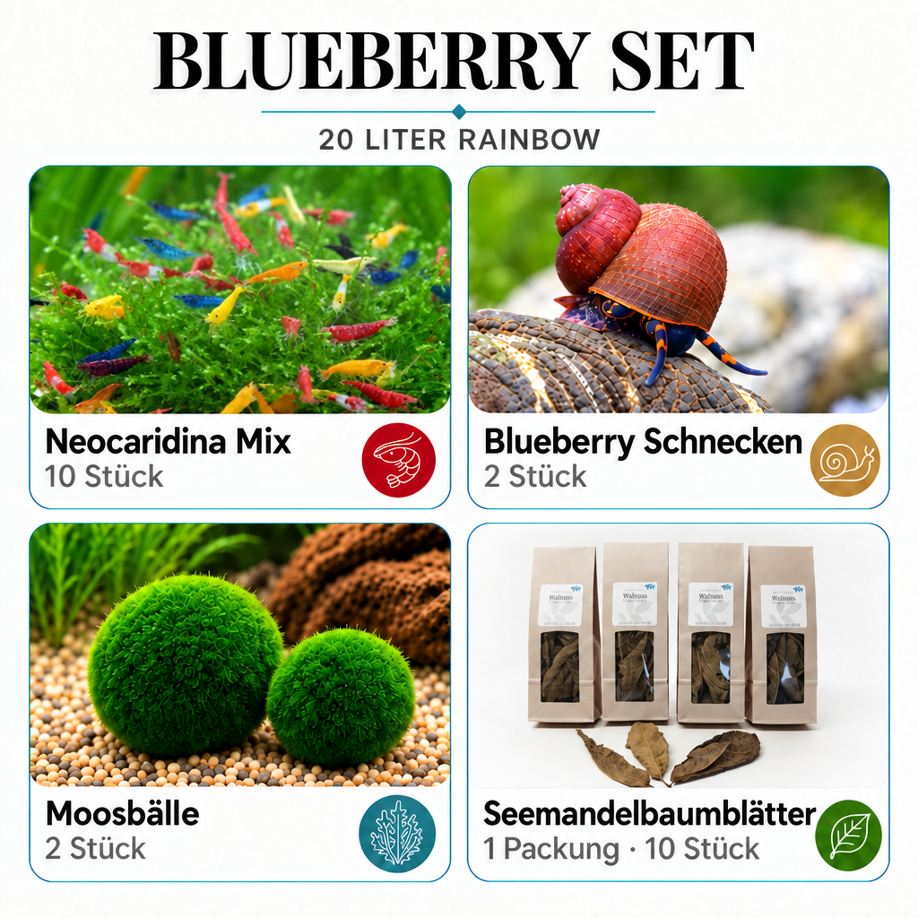 Blueberry Set Rainbow mit deinem Garnelenfoto
