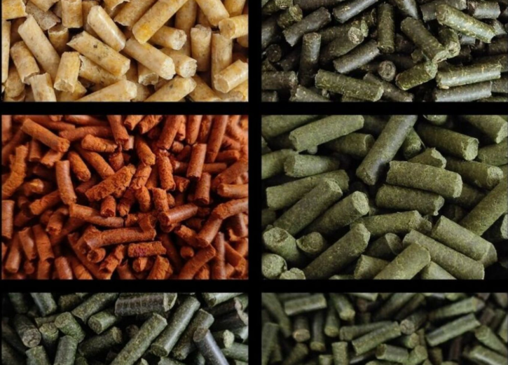 Garnelen Futtersticks – Zufälliger Mix (25 g)