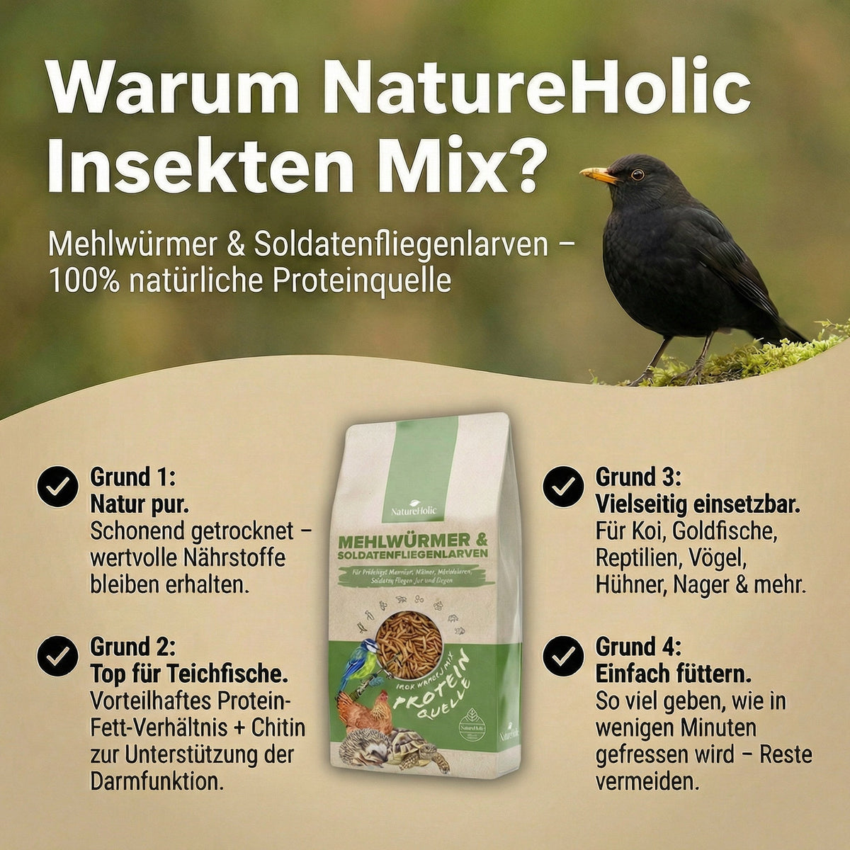 NatureHolic - Mehlwürmer & Soldatenfliegen Mix