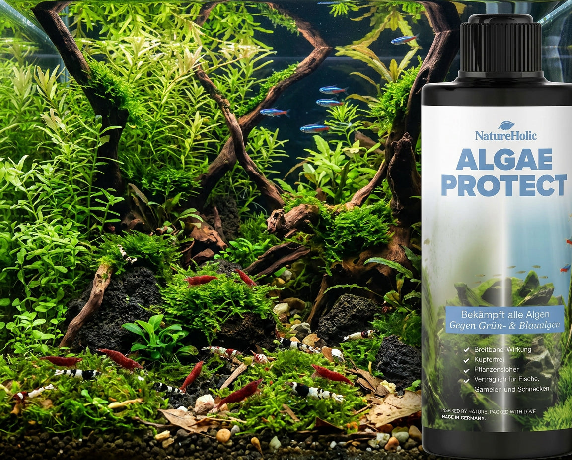 NatureHolic Algae Protect - Algen Entferner gegen die häufigsten Aquarium Algen 500ml