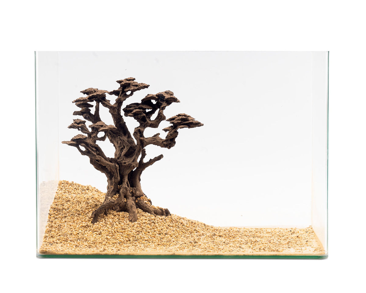 NatureHolic - Stone Bonsai - Mugen