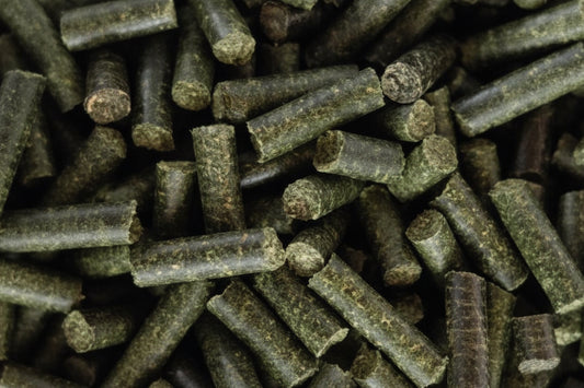 Garnelen Futtersticks 7er Multivitamin – Ergänzungsfutter für Garnelen (25 g)