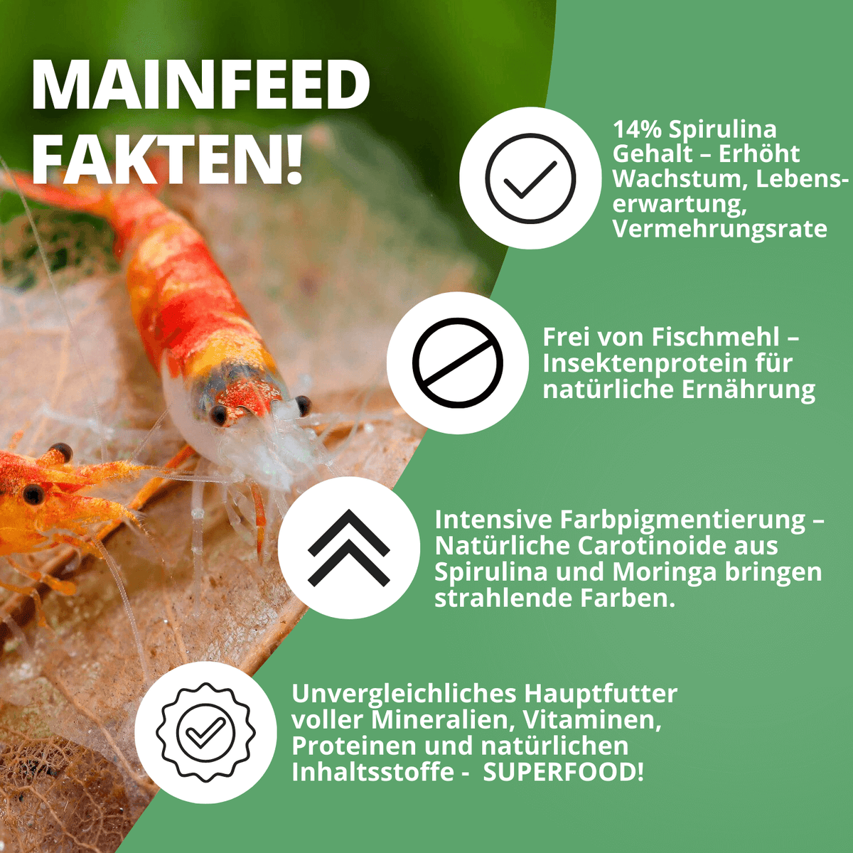 NatureHolic - Mainfeed Garnelenfutter - 30g