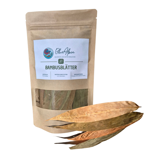 Bambusblätter 10 g (ca.20 Blätter)