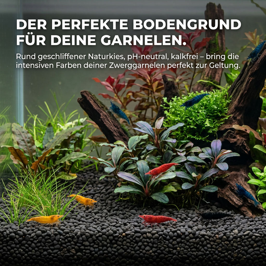 NatureHolic - Garnelen Kies – Schwarzer Naturkies 3 kg