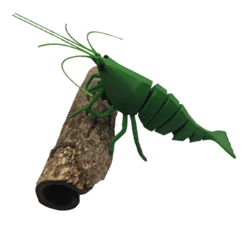 FlexiShrimp (Green Jade)