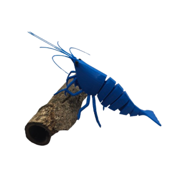FlexiShrimp (Blue Dream)