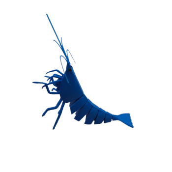 FlexiShrimp (Blue Dream)