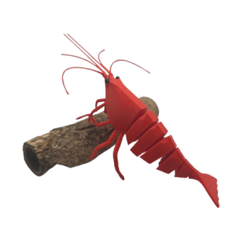 FlexiShrimp (Red Sakura)