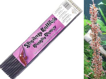 Shrimp-Lollies Purple Power (10 Stück)