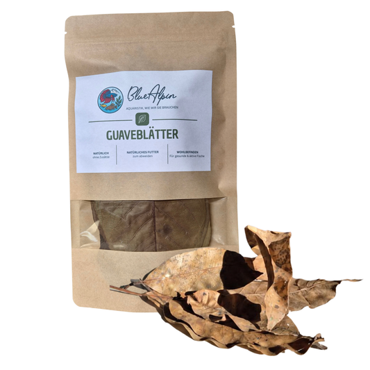 Guavenblätter 10 g