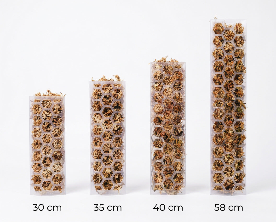 NatureHolic FlexiMosspole - Rankhilfe für Zimmerpflanzen