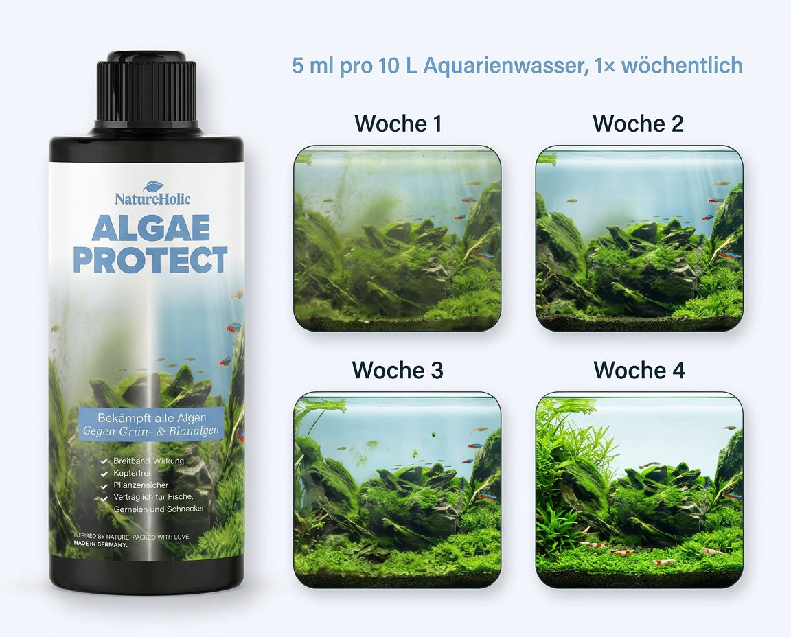 NatureHolic Algae Protect - Algen Entferner gegen die häufigsten Aquarium Algen 500ml