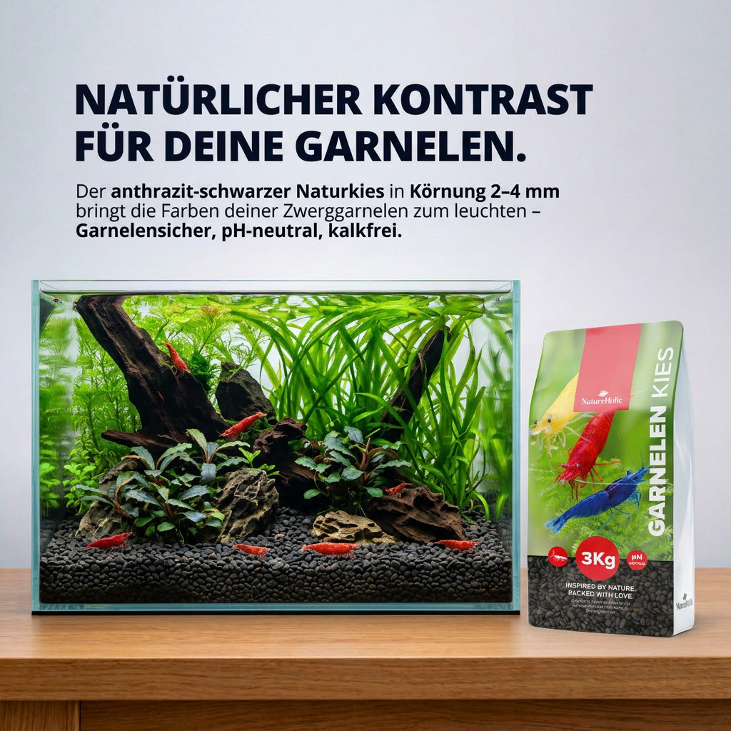 NatureHolic - Garnelen Kies – Schwarzer Naturkies 3 kg