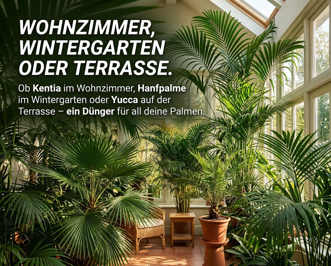 NatureHolic Palmendünger - Flüssig - 1000ml