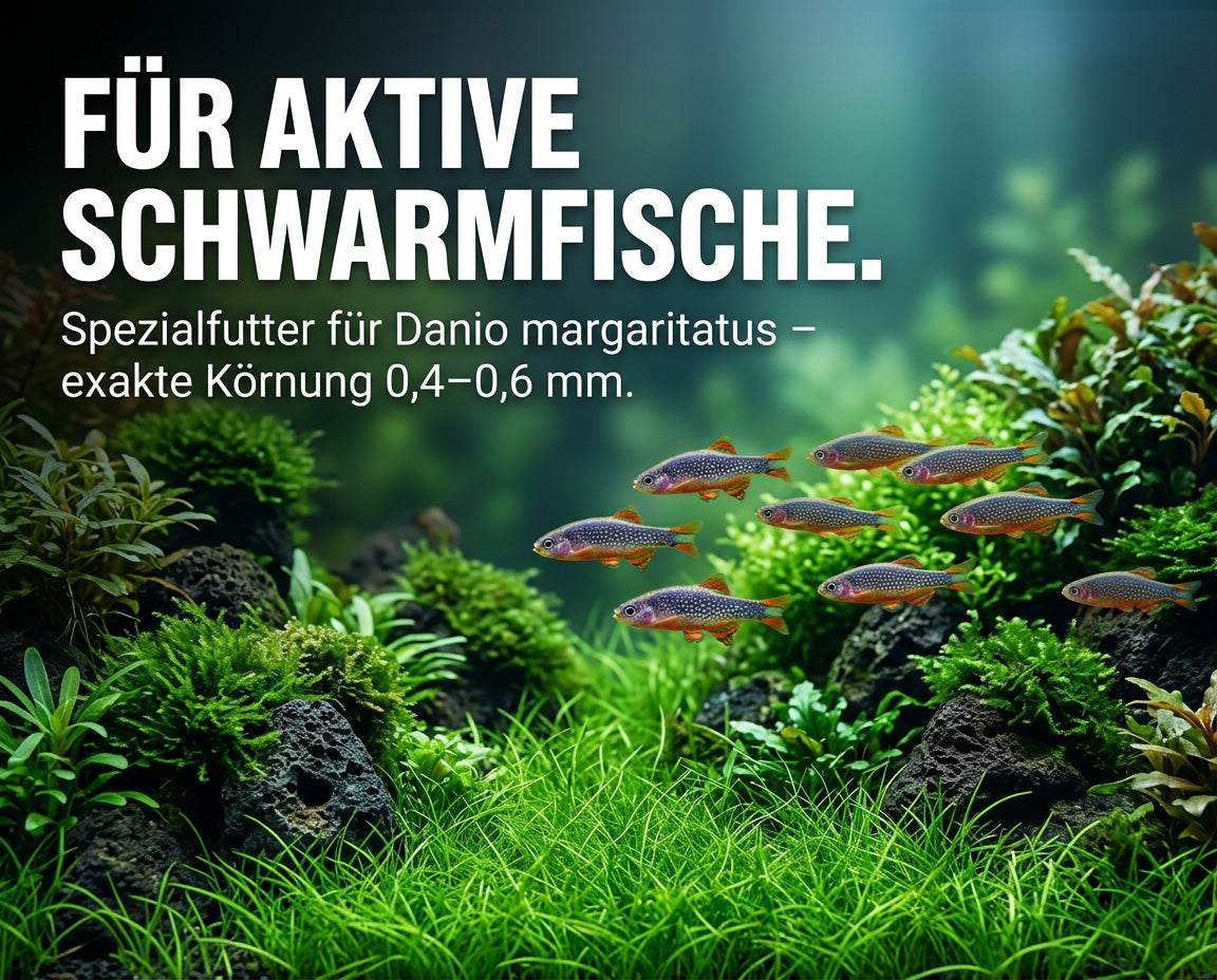NatureHolic DanioFeed - Fischfutter für Perlhuhnbärblinge und sonstige Danio Arten - 30g