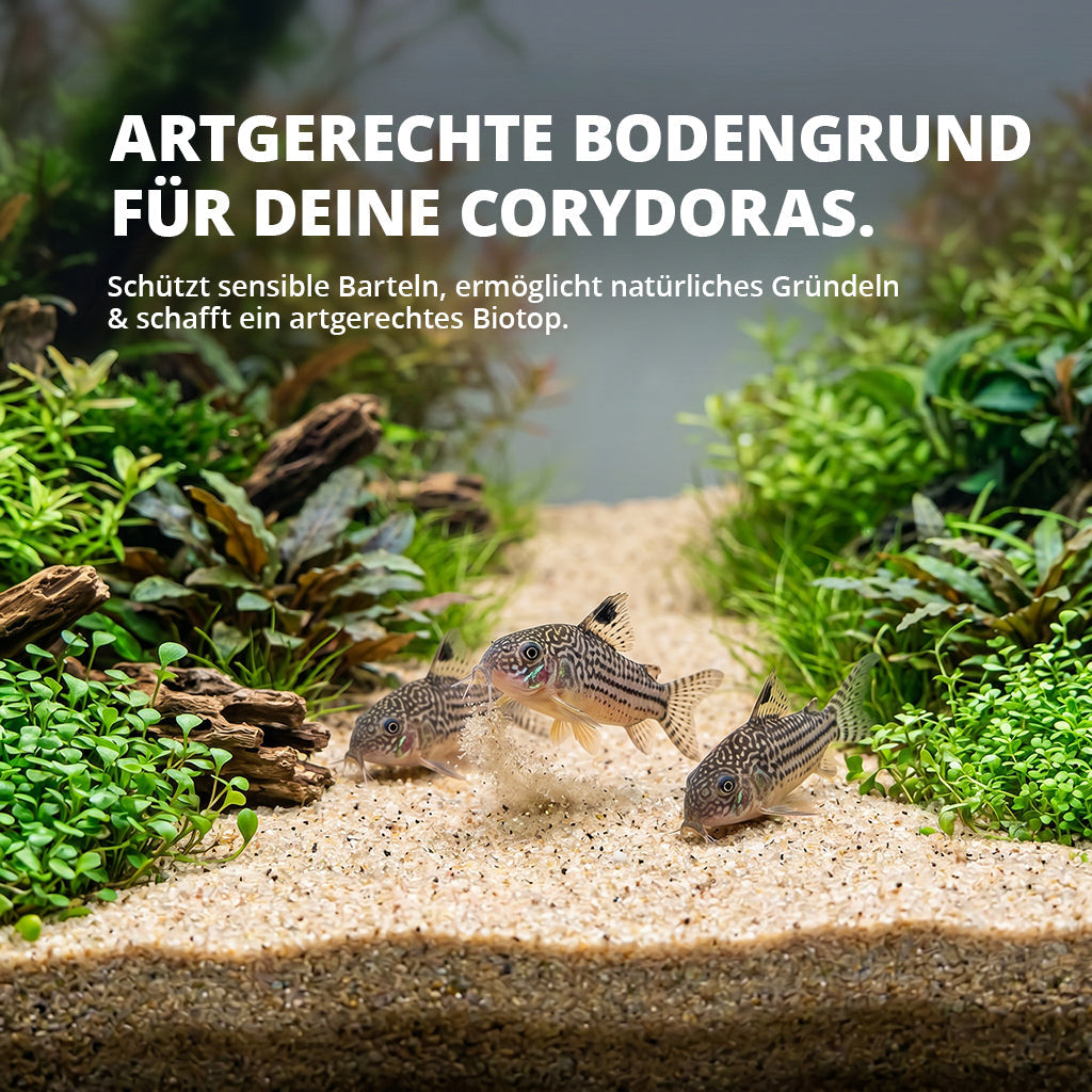 NatureHolic - Corydoras Sand 10 kg - Spezialbodengrund für Panzerwelse