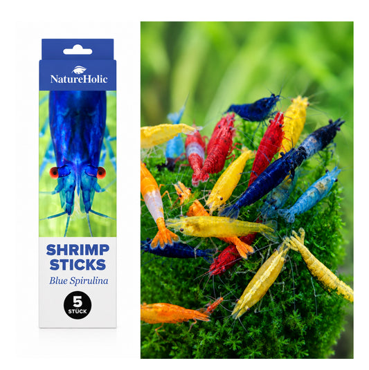 10 Garnelen MIX Neocaridina + Garnelen Lollies „Blue Spirulina“ - 5 Lollis