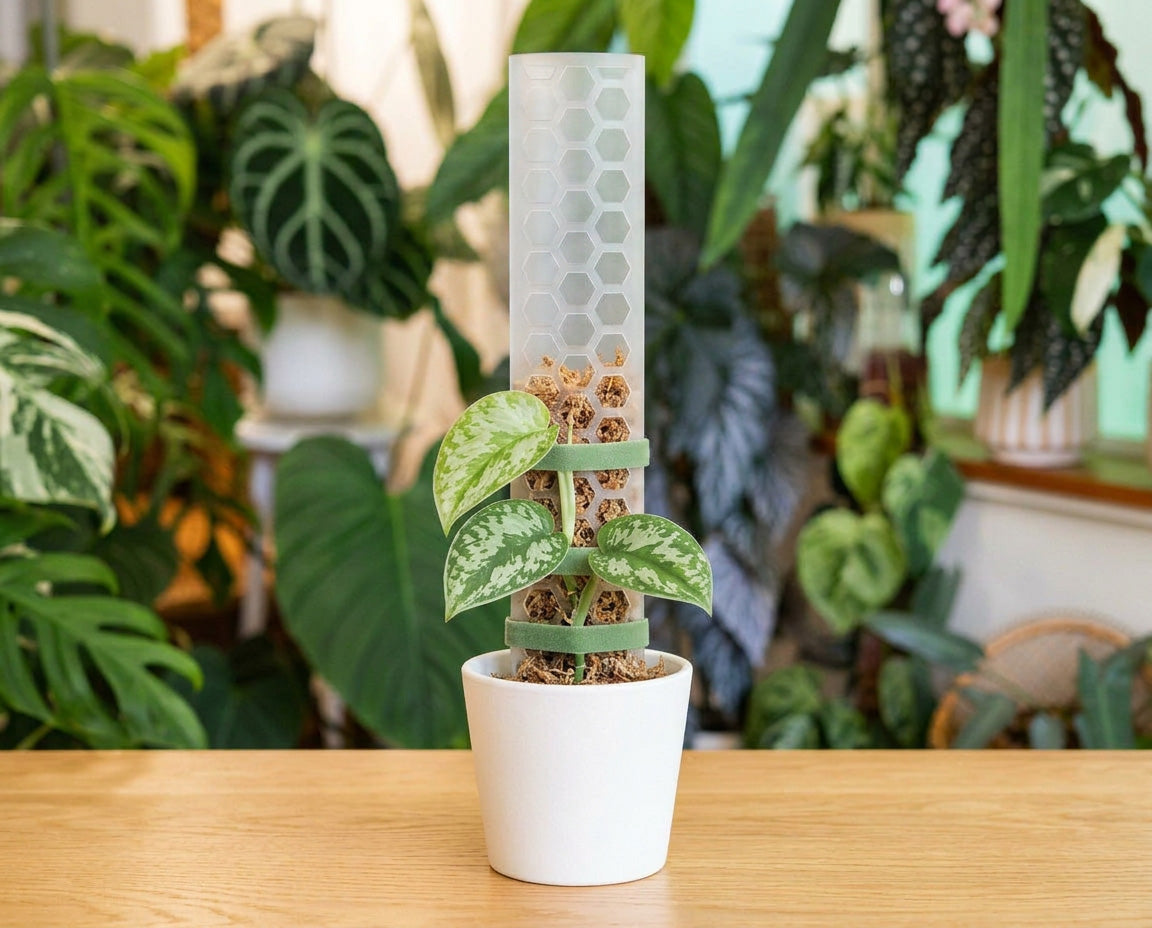 NatureHolic FlexiMosspole - Rankhilfe für Zimmerpflanzen
