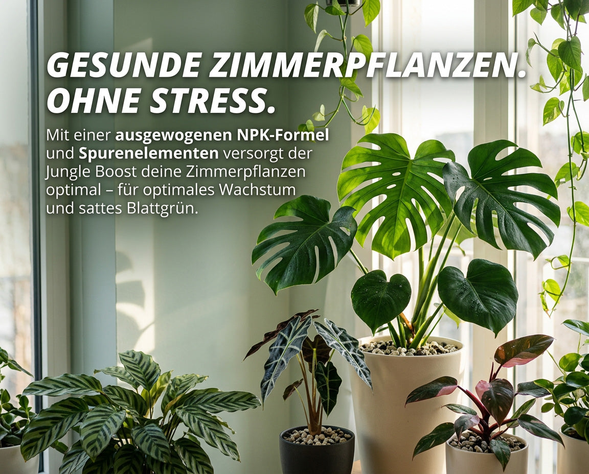 NatureHolic Jungle Boost - Premium Pflanzen Dünger 500ml