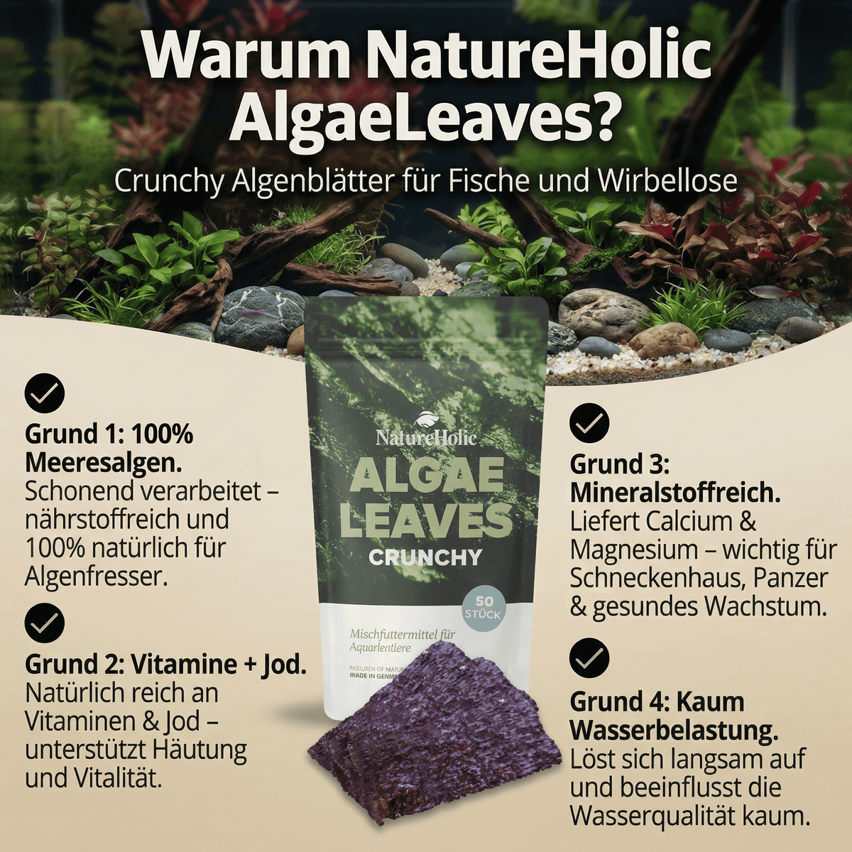 AlgaeLeaves