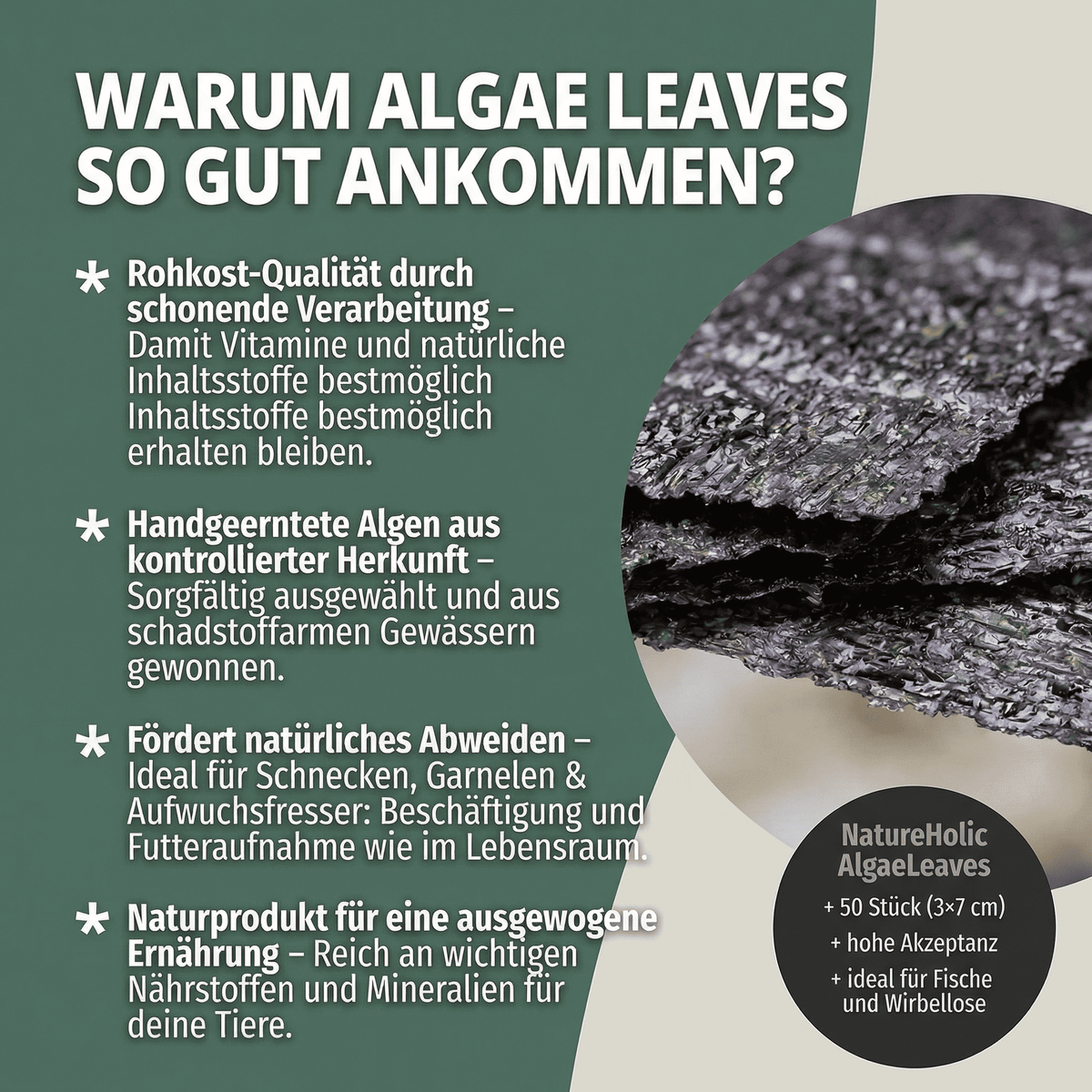 AlgaeLeaves