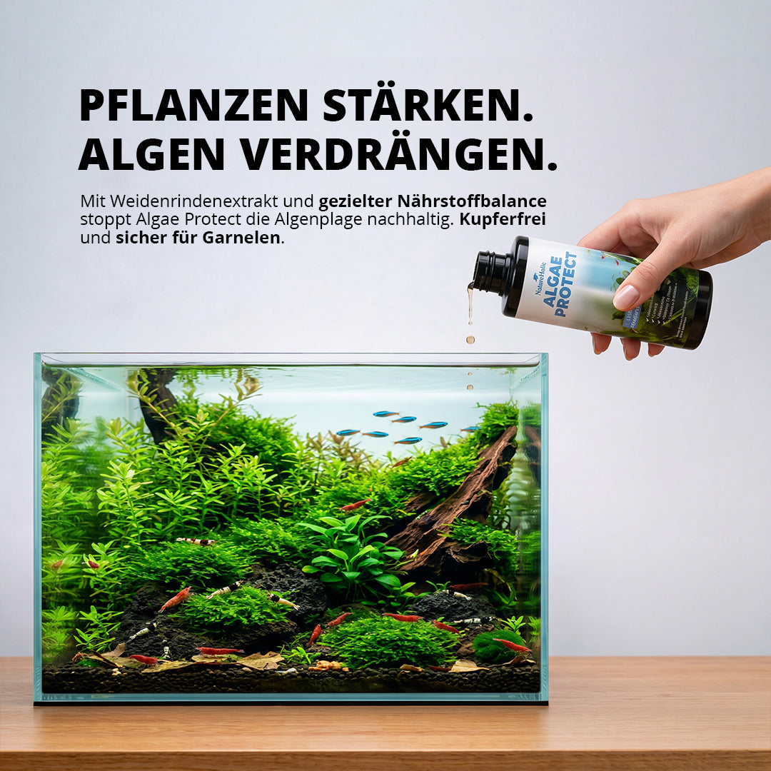 NatureHolic Algae Protect - Algen Entferner gegen die häufigsten Aquarium Algen 500ml