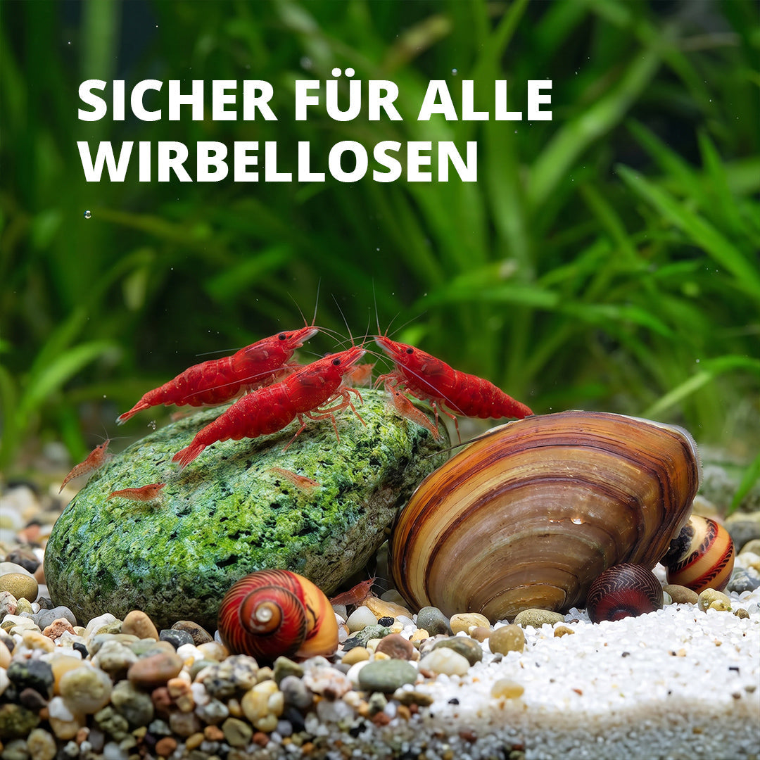 NatureHolic Algae Protect - Algen Entferner gegen die häufigsten Aquarium Algen 500ml