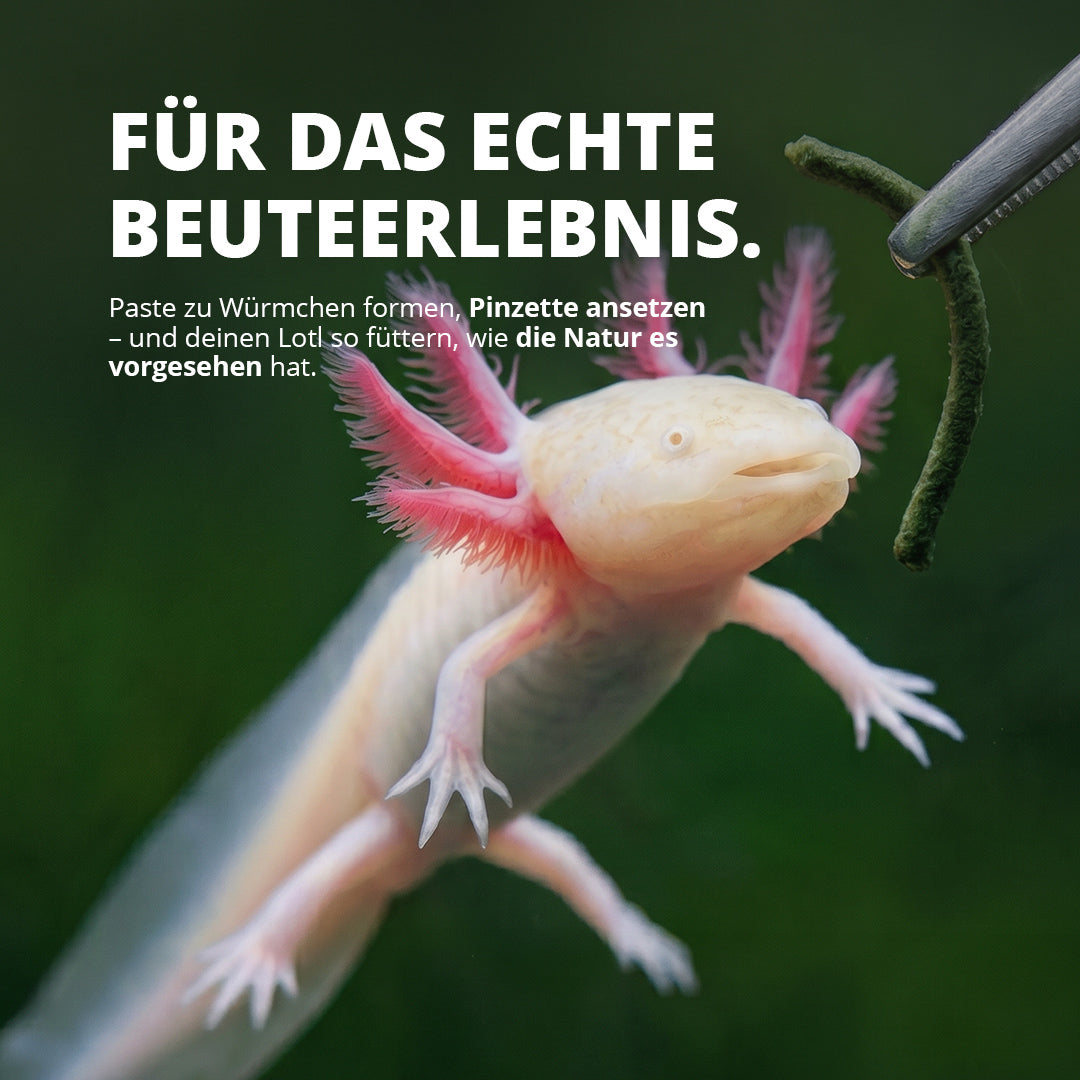 NatureHolic Axolotl Pudding – Formbare Futterpaste für Axolotl