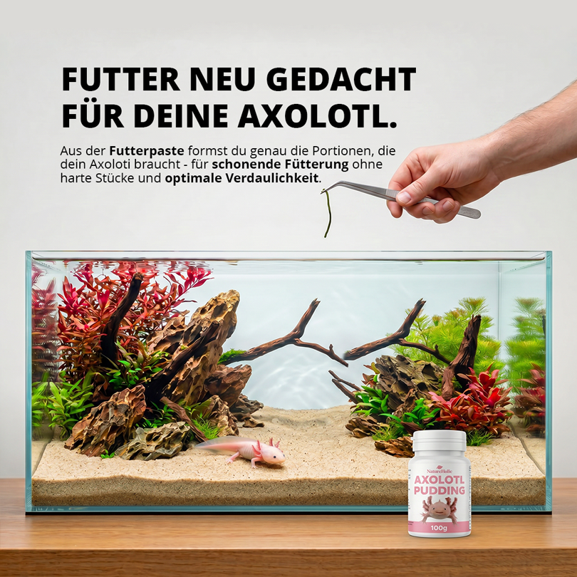 NatureHolic Axolotl Pudding – Formbare Futterpaste für Axolotl