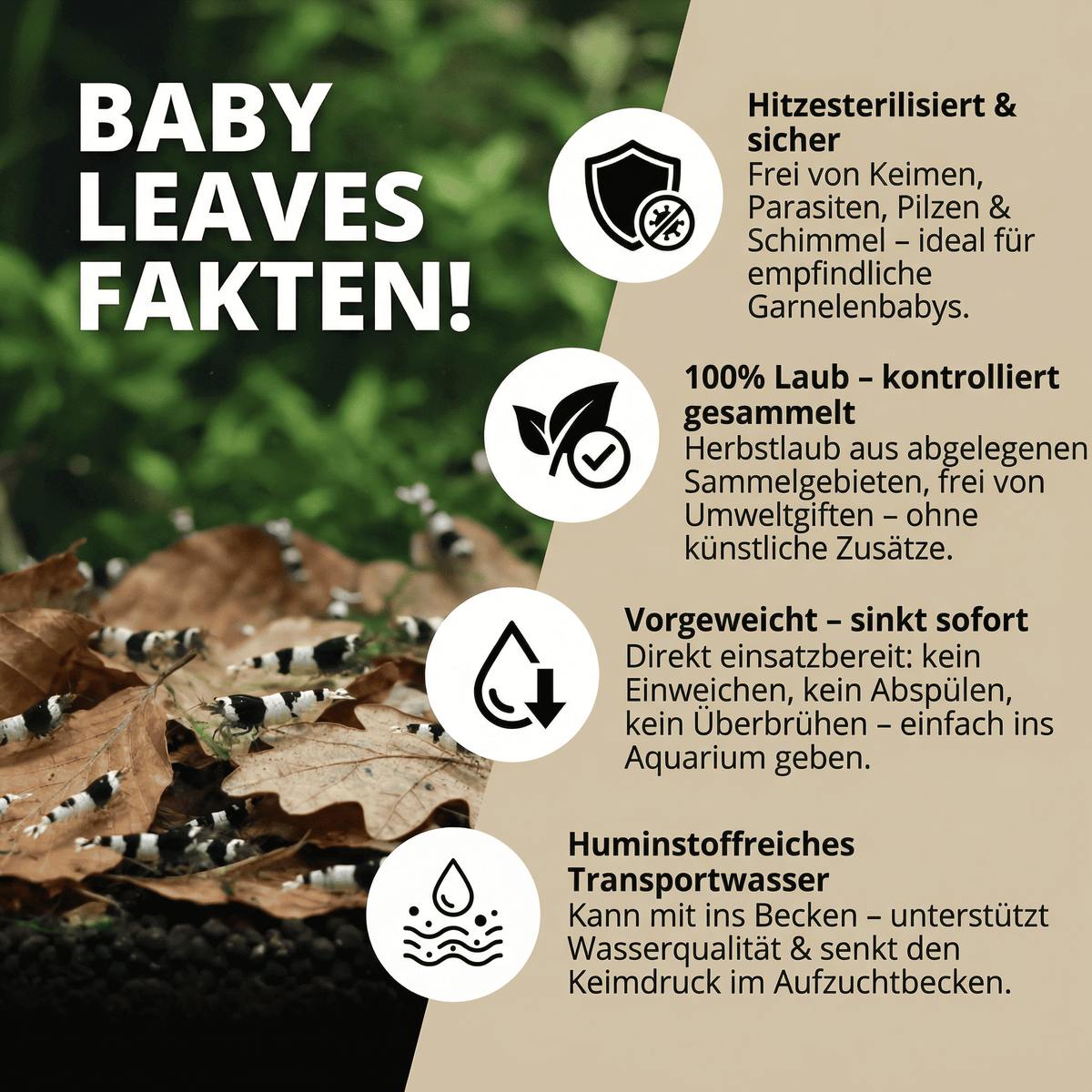 NatureHolic Baby Leaves - Sterilisierte und vorgewässerte Laubportionen 100g