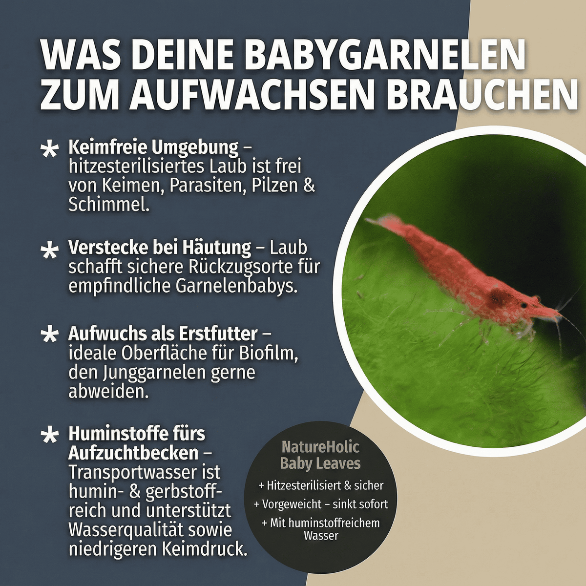 NatureHolic Baby Leaves - Sterilisierte und vorgewässerte Laubportionen 100g