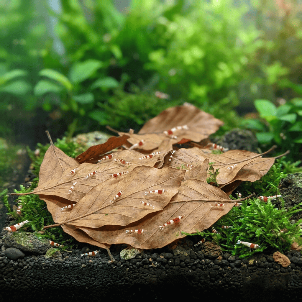 NatureHolic Baby Leaves - Sterilisierte und vorgewässerte Laubportionen 100g