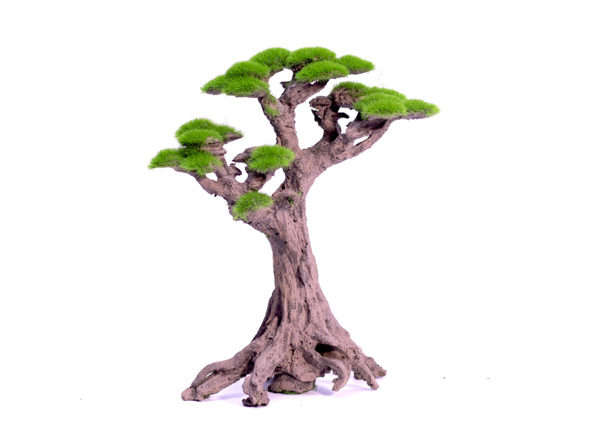 NatureHolic - Stone Bonsai - Pico