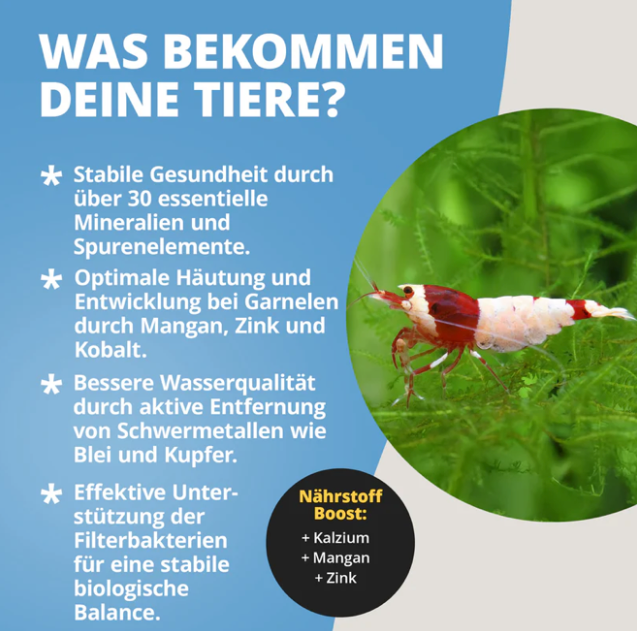 NatureHolic Wasseraufbereiter Kit - giftfreies Aquarium - 2-1 Lösung für kristallklares Wasser