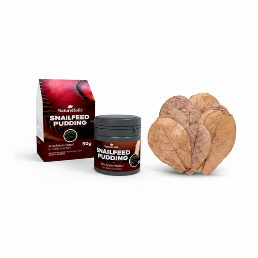 Aufwuchsfresser Futter Paket - Schneckenfeed Pudding - 10 St. Seemandelbaumblätter