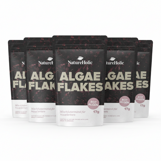 NatureHolic AlgaeFlakes - 100ml Algenflocken 5 Packungen je 17g.